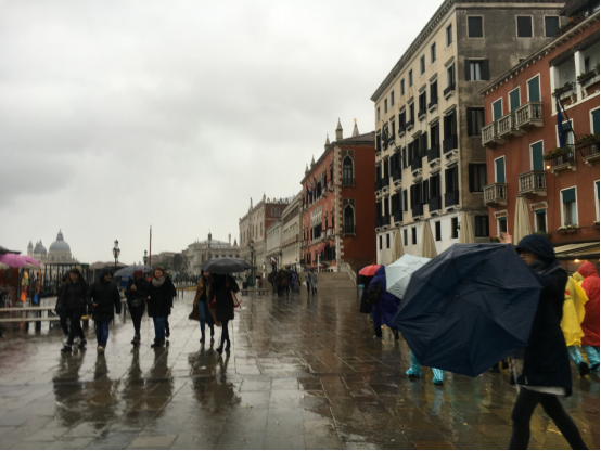 ベネチア雨の様子